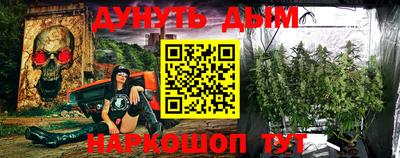гидра Гатчина
