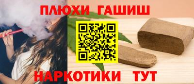 гидра Гатчина