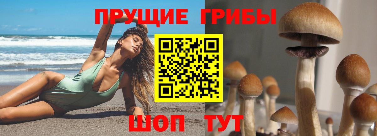 Галлюциногенные грибы GOLDEN TEACHER Надым